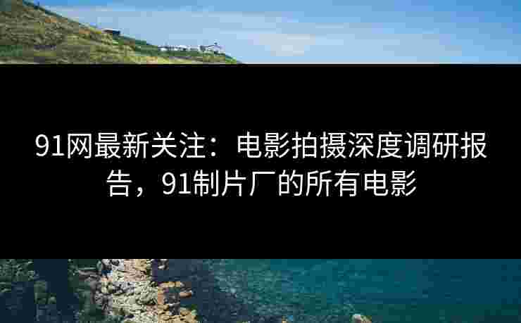 91网最新关注：电影拍摄深度调研报告，91制片厂的所有电影