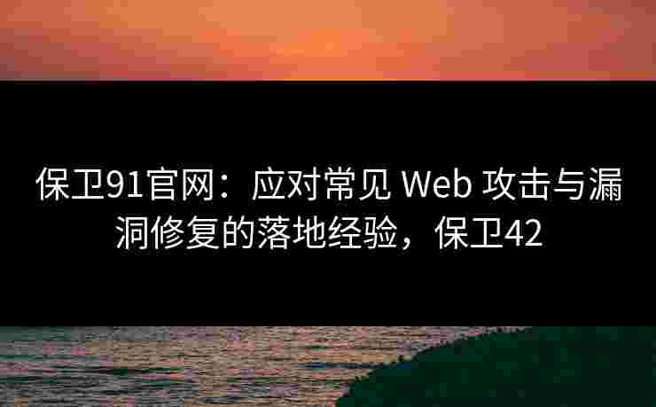 保卫91官网：应对常见 Web 攻击与漏洞修复的落地经验，保卫42