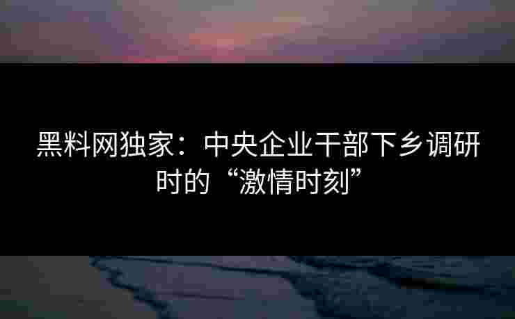 黑料网独家：中央企业干部下乡调研时的“激情时刻”