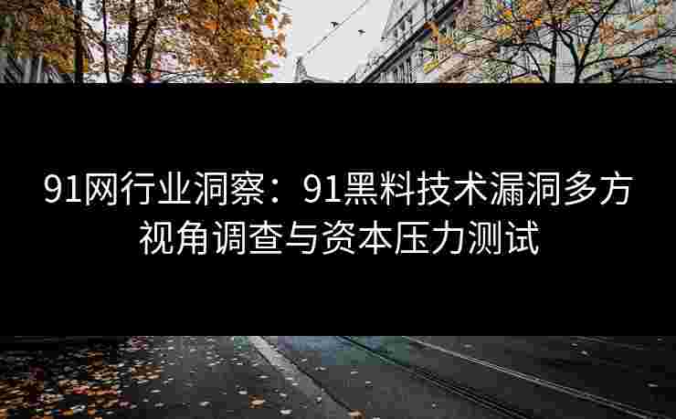 91网行业洞察:91黑料技术漏洞多方视角调查与资本压力测试 91网行业洞察:91黑料技术漏洞多方视角调查与资本压力测试