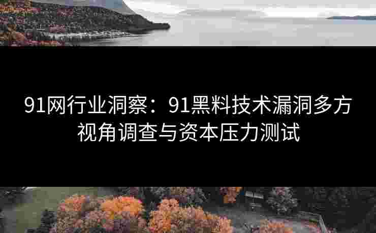 91网行业洞察:91黑料技术漏洞多方视角调查与资本压力测试 91网行业洞察:91黑料技术漏洞多方视角调查与资本压力测试
