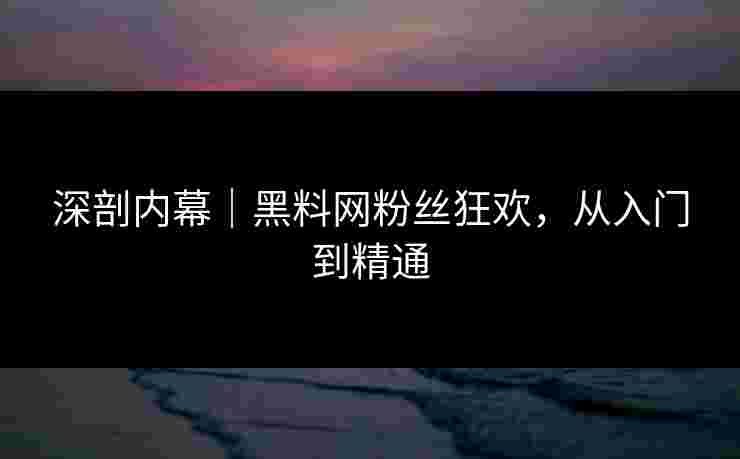深剖内幕｜黑料网粉丝狂欢，从入门到精通