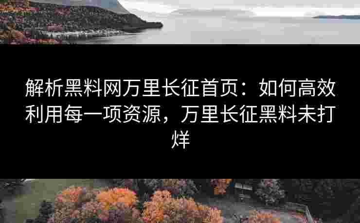 解析黑料网万里长征首页：如何高效利用每一项资源，万里长征黑料未打烊