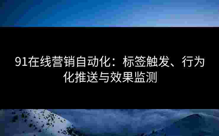 91在线营销自动化：标签触发、行为化推送与效果监测