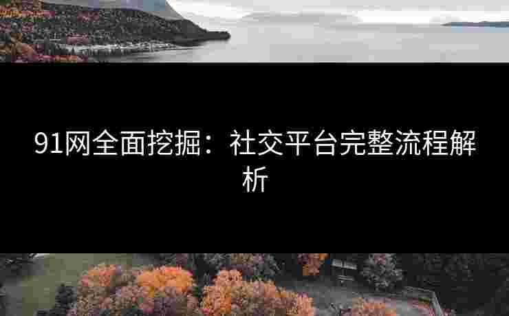 91网全面挖掘:社交平台完整流程解析 91网全面挖掘:社交平台完整流程解析