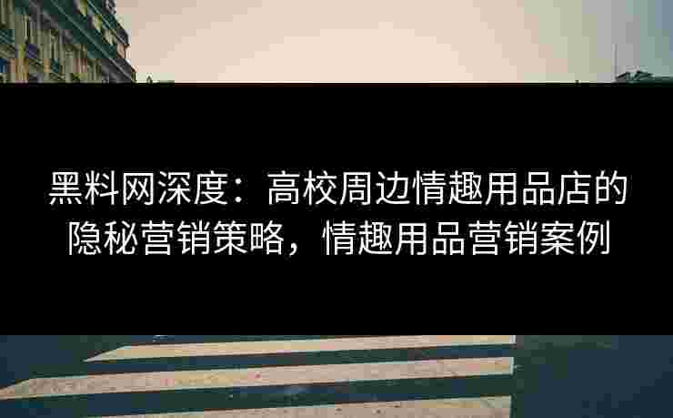 黑料网深度:高校周边情趣用品店的隐秘营销策略,情趣用品营销案例 黑料网深度:高校周边情趣用品店的隐秘营销策略,情趣用品营销案例